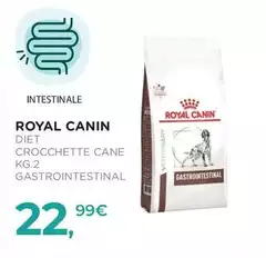 Royal Canin - Diet Crocchette Cane Gastrointestinal