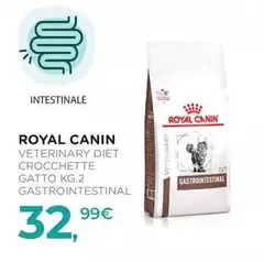 Royal Canin - Veterinary Diet Crocchette Gatto Gastrointestinal