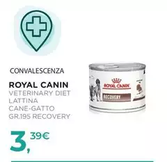 Royal Canin - Veterinary Diet Lattina Cane-Gatto Recovery