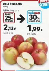 lady - Mele Pink Lady