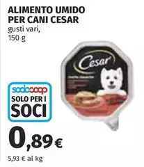 Cesar - Alimento Umido Per Cani