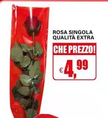 Rosa Singola Qualità Extra