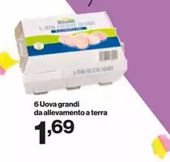 6 Uova Grandi Da Allevamento A Terra