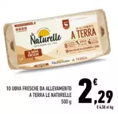 Le Naturelle - 10 Uova Fresche Da Allevamento A Terra