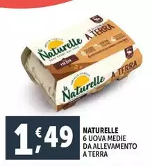 Le Naturelle - 6 Uova Medie Da Allevamento A Terra