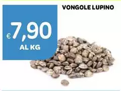 Vongole Lupino