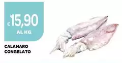 Calamaro Congelato