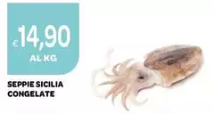 Seppie Sicilia Congelate