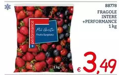 Plus Performance - Fragole Intere Plus Performance - Fragole Intere
