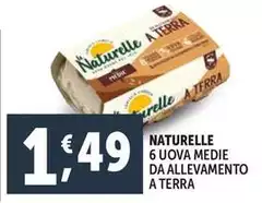 Le Naturelle - 6 Uova Medie Da Allevamento A Terra