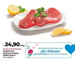 Pinna - Filetti Di Tonno  Cilla