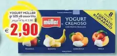 Muller - Yogurt
