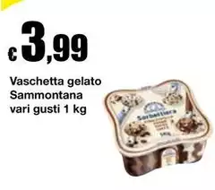 Sammontana - Vaschetta Gelato
