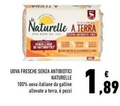 Le Naturelle - Uova Fresche Senza Antibiotici