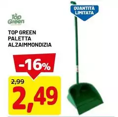 Green - Top Paletta Green - Top Paletta