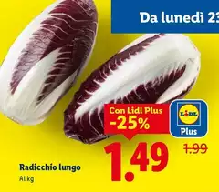 Radicchio Lungo Radicchio Lungo