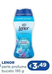 Lenor -  -
