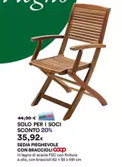 Coop - Sedia Pieghevole Con Braccioli 