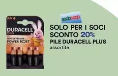 Duracell - Pile Plus