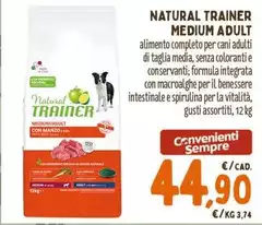 Natural Trainer - Medium Adult Natural Trainer - Medium Adult