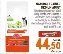Natural Trainer - Medium Adult Natural Trainer - Medium Adult