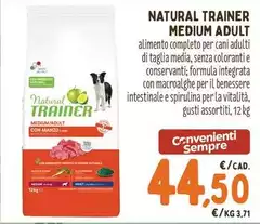 Natural Trainer - Medium Adult Natural Trainer - Medium Adult