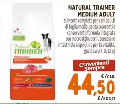 Natural Trainer - Medium Adult Natural Trainer - Medium Adult