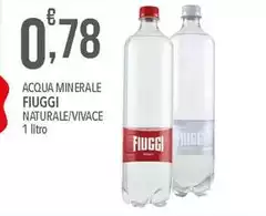 Fiuggi - Acqua Minerale Naturale/ Vivace