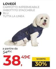 Lovedi - Cappetto Impermeable Imbottito Staccabile Blu