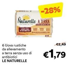 Le Naturelle - 6 Uova Rustiche Da Allevamento A Terra Senza Uso Di Antibiotici