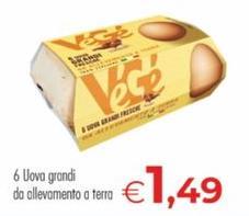 Vege - 6 Uova Grandi Da Allevamento A Terra