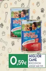 Morando - Miglior Cane