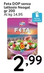 Neogal - Feta DOP Senza Lattosio