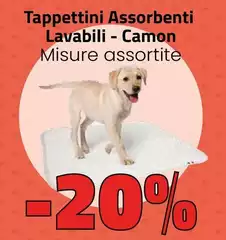 Camon - Tappettini Assorbenti Lavabili Camon - Tappettini Assorbenti Lavabili