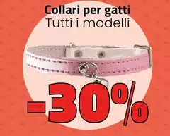 Collari Per Gatti