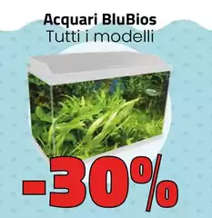 Blubios - Acquari 