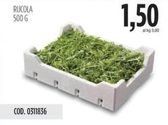 Rucola