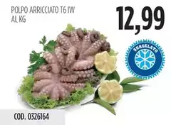 Polpo Arricciato T6 IW Polpo Arricciato T6 IW