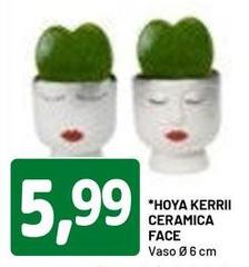Hoya Kerri Ceramica Face