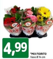 Mix Fiorito