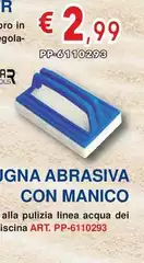 Eurostar Pools - Spugna Abrasive Con Manico