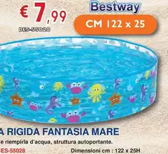 Bestway - Piscina Rigida Fantasia Mare Bestway - Piscina Rigida Fantasia Mare