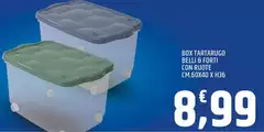 Belli - Box Tartaruga  6 Forti Con Route