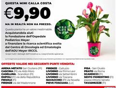 Costa - Questa Mini Calla