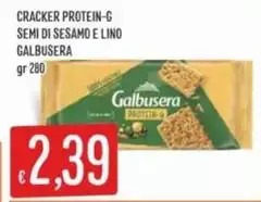 Galbusera - Cracker Protein-G Semi Di Sesamo E Lino