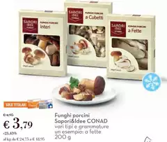 Funghi Porcini Sapori&Idee