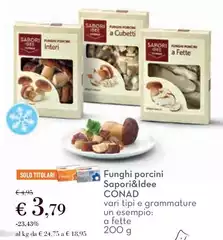 Solo - Funghi Porcini Sapori&Idee