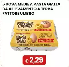 Fattore Umbro - 6 Uova Medie A Pasta Gialla Da Allevamento A Terra 