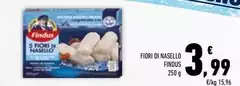 Findus - Fior Di Nasello