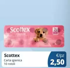 Scottex - Carta Igienica Scottex - Carta Igienica